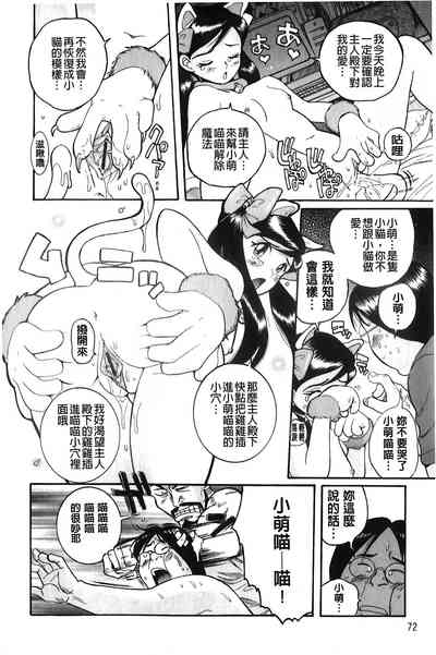 第73頁圖