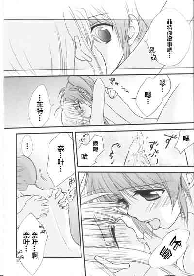 第29頁圖
