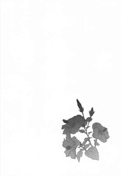 第25页图
