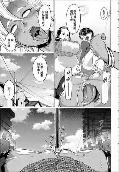 第17页图