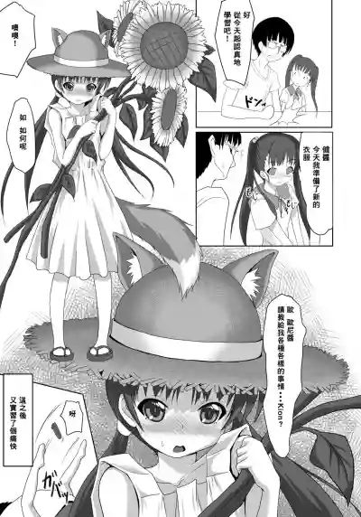 第29頁圖
