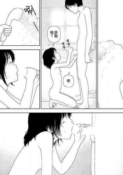 第241页图