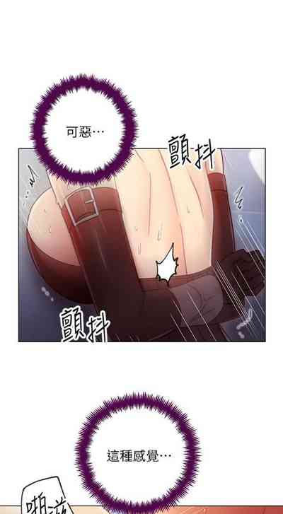 第509頁圖
