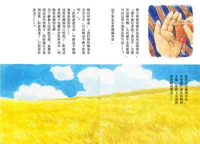 第9頁圖