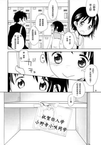 第33頁圖