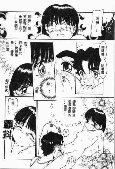 第41頁圖