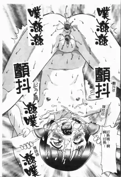 第17頁圖