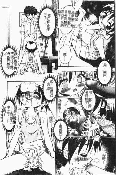 第29頁圖