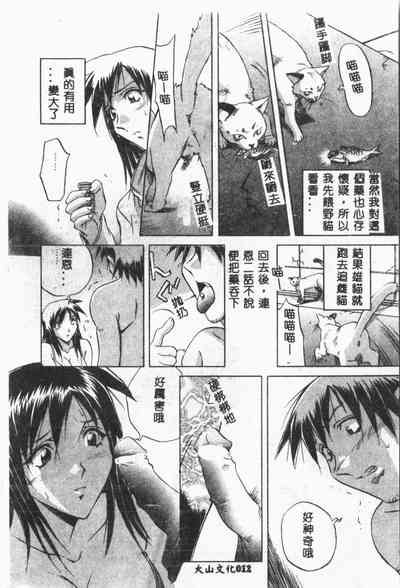 第13頁圖