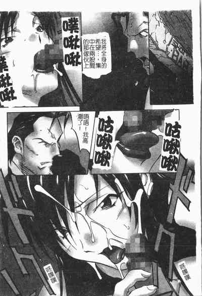 第81頁圖