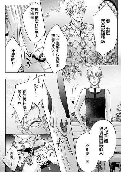 第77頁圖