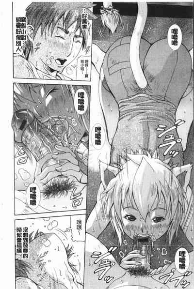 第33頁圖
