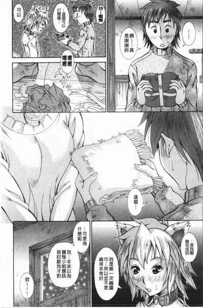第85頁圖