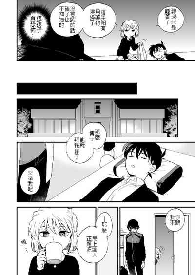 第13頁圖