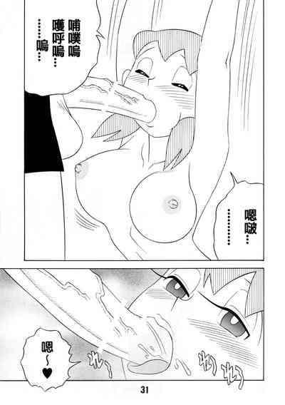第29頁圖