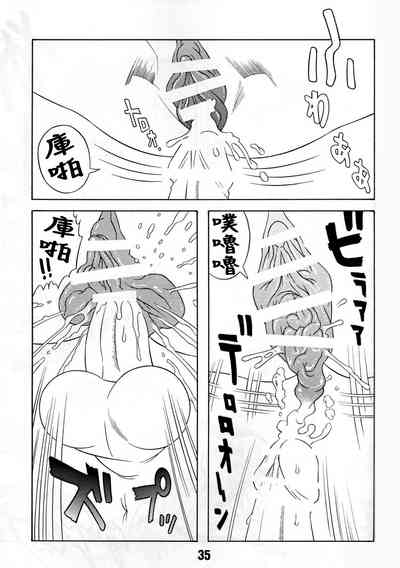 第33頁圖