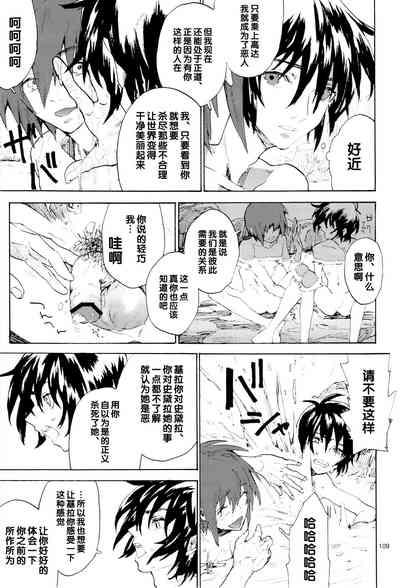第109页图