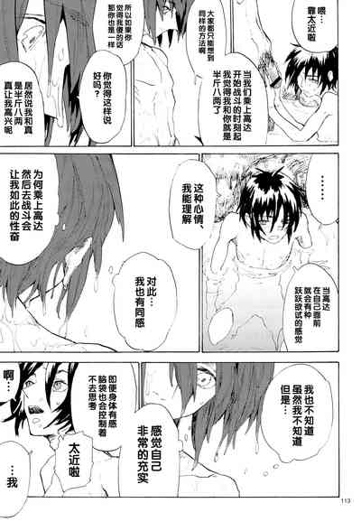 第113页图