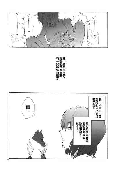 第49页图