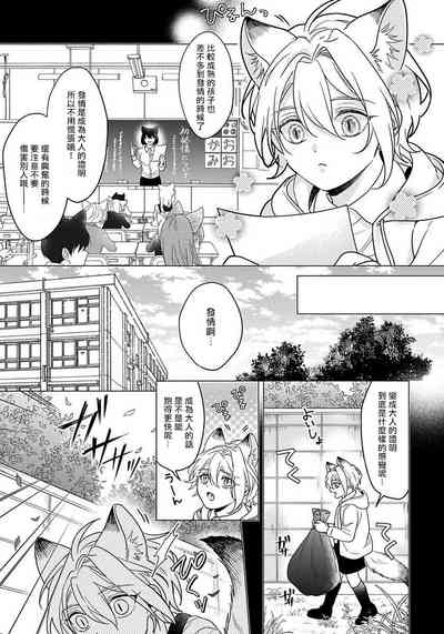 第13页图