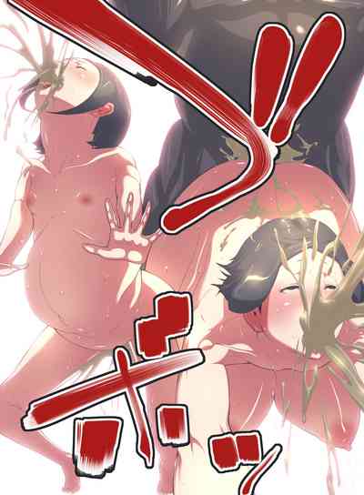 第17页图