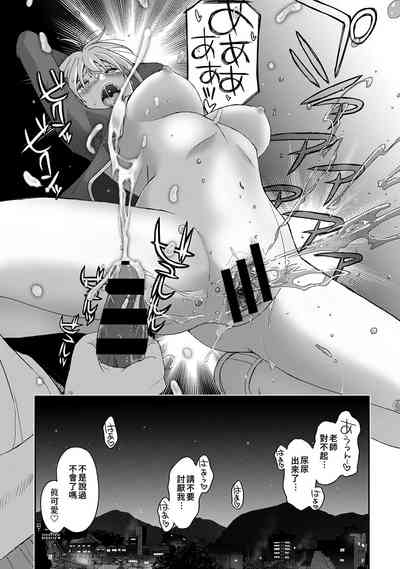 第113頁圖