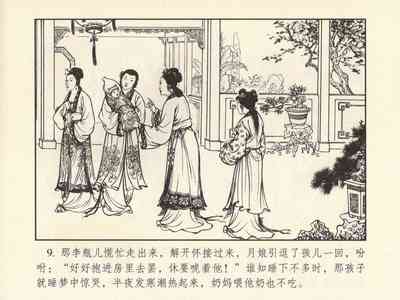 第13頁圖
