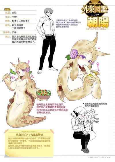 第29頁圖