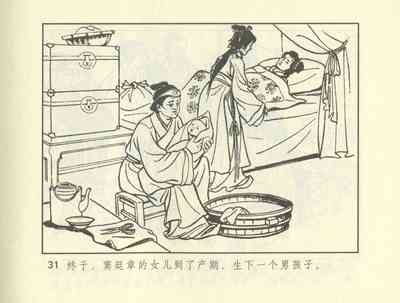 第241頁圖