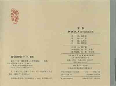 第337頁圖