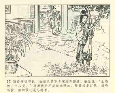 第449頁圖