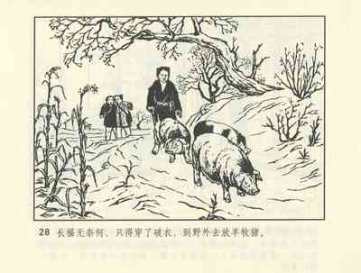 第501頁圖