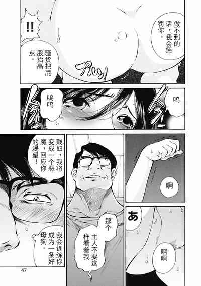 第49頁圖