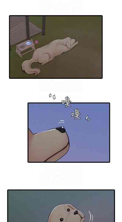 第393頁圖