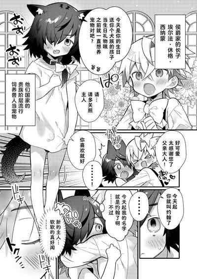 第33頁圖