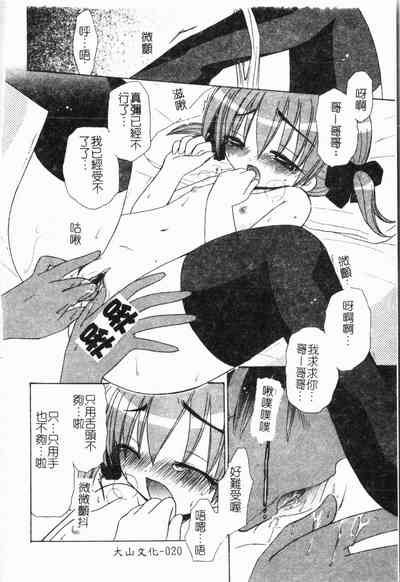 第21頁圖