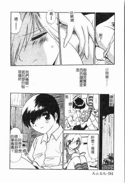 第85頁圖