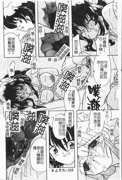 第101頁圖