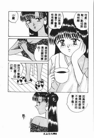 第85頁圖