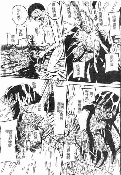 第13頁圖