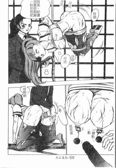 第29頁圖