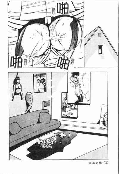 第33頁圖