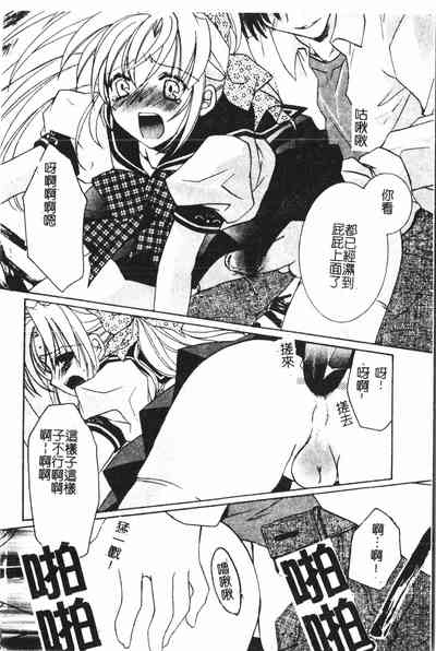 第33頁圖
