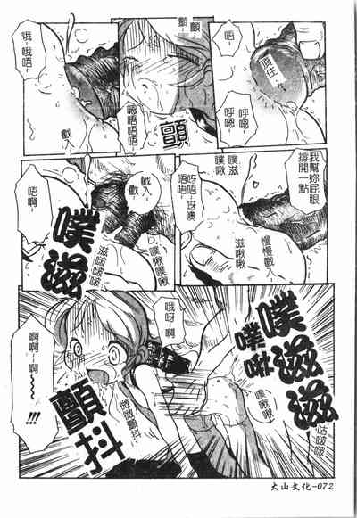 第73頁圖