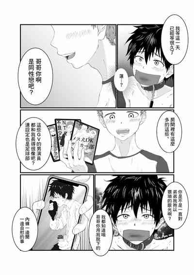 第17頁圖