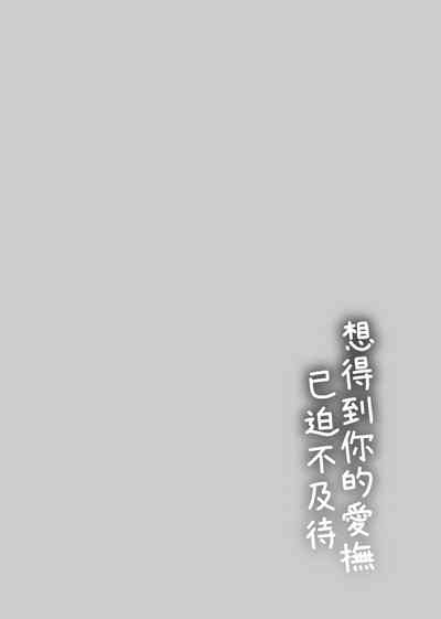 第161頁圖