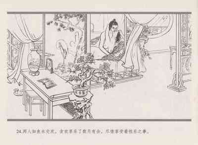 第33页图