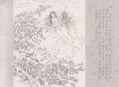第85頁圖