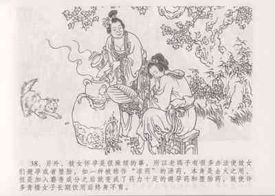 第45頁圖