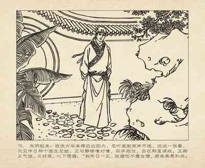 第169頁圖